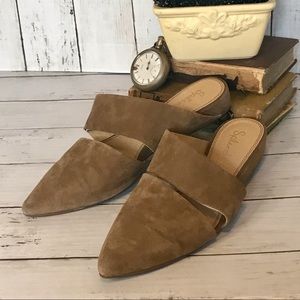 Splendid Scarla Brown Suede Mule